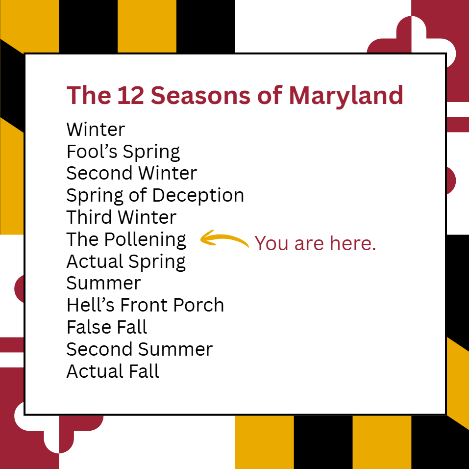 12 Seasons of Maryland